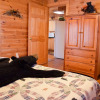 Отель BEAR'S VIEW - 2 Br Cabin, фото 13