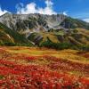 Отель Tateyama Kogen Hotel, фото 2