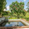 Отель Idyllic Farmhouse in Montemor-o-novo With Swimming Pool, фото 16