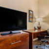 Отель Comfort Inn & Suites, фото 49