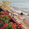 Отель Point Pelee Lakeshore B&B, фото 23