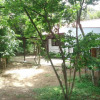 Отель Home Stay Chiangmai Baan Chao Mhon, фото 5