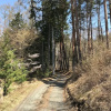 Отель Forestcottage kiki., фото 27
