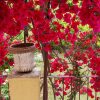 Отель Traditional Home Near The Beach, фото 10