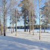Отель Loma-Rantala Cottages, фото 7