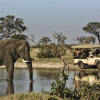 Отель Orient-Express Safaris, фото 2