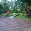 Отель Gloria's Bed and Breakfast, фото 12