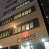 Отель Flamante Hotel & Suite, фото 1