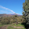 Отель Alberto's Mt. Etna B&B, фото 17