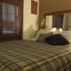 Отель Wynberg House Bed & Breakfast, фото 4