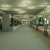Отель tent Mojito Suites, фото 11