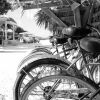 Отель The Meridian Club on Pine Cay, фото 27