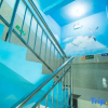 Отель Nongzai Guesthouse (Sanya Wuzhizhou Island Houhai), фото 5