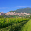 Отель An agritourism complex with views of Assisi., фото 14