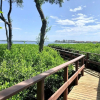 Отель Bermuda Bay Club 1427 3 Bedroom Townhouse, фото 20