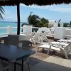Отель Pelicano Inn Playa del Carmen - Beachfront Hotel, фото 21