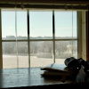 Отель Prairie Creek Inn, фото 39