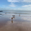 Отель Winterstoke view-Ramsgate-5 bed Family & dog friendly beach retreat-Seaviews, фото 10