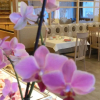 Отель Garni Apartments Mezdi, фото 15