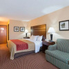 Отель Comfort Inn near Grand Central Mall, фото 7