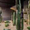 Отель Guro Hotel Oasis, фото 11