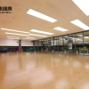 Отель Changjiang int'l Graceland Recidence, фото 17