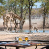 Отель Ongava Tented Camp, фото 8