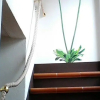 Отель Suite Tra i Tetti in the Heart of Florence, фото 6