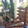 Отель UrbanView Bnky Bed and Breakfast Palawan by RedDoorz, фото 4
