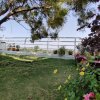 Отель Garden Homes 1& 6, фото 10
