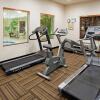 Отель Holiday Inn Express Suites Dinosaurland, фото 21