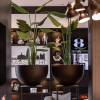 Отель Gr8 Hotel Maastricht-Aachen Airport, фото 4