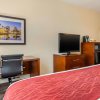 Отель Comfort Inn & Suites St. Pete - Clearwater International Airport в Клируотере