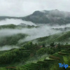 Отель Yunhe terrace leisure Meiye bamboo B & B, фото 1