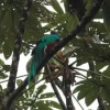 Отель Ranchitos Del Quetzal - Parque Ecológico Gucumatz, фото 37