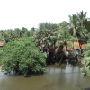 Отель Mannar Guest House, фото 11
