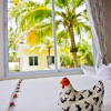 Отель Rim Nam Lomyen Resort, фото 12