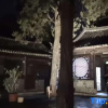 Отель Mingdian Holiday Hotel, фото 12