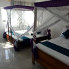 Отель Paradise Beach Bungalows Nungwi, фото 3