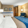 Отель Comfort Inn & Suites, фото 3