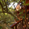 Отель Ballots Bay Treehouse by HostAgents, фото 6