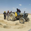 Отель Khamlia Desert Bed & Breakfast, фото 7