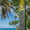 Отель Le Coconut Lodge, фото 13