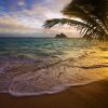 Отель Palau Vacation Hotel, фото 20