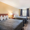 Отель Econo Lodge Inn & Suites Lodi - Wine Country Area, фото 6