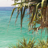 Отель Noosa Place Resort, фото 21