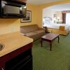 Отель Holiday Inn Express Hotel & Suites Vestal, an IHG Hotel, фото 29