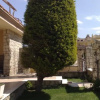 Отель Villa Kaptan, фото 1
