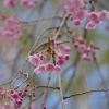 Отель Yumekiko, фото 44