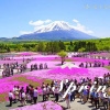 Отель Station Villa Plaisir Mt. Fuji, фото 10
